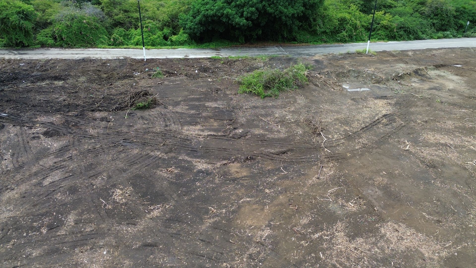 Cleared land area with dirt and tire marks, bordered by a road and lush green trees.